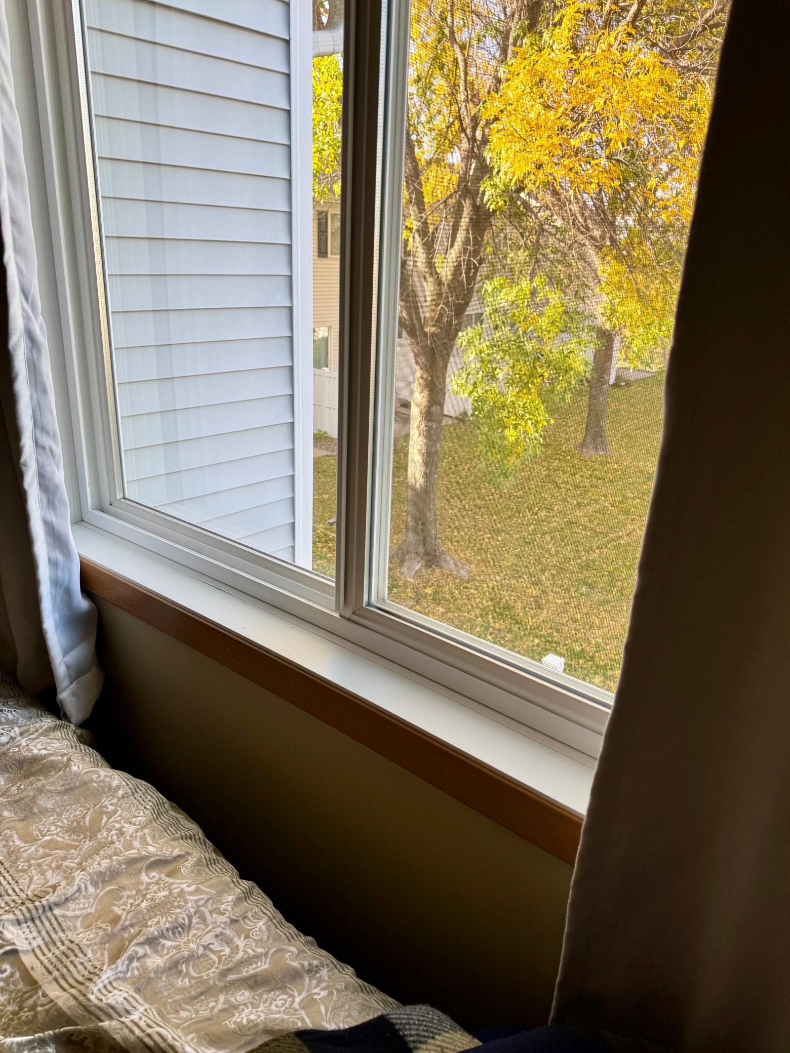 View out bedroom window
