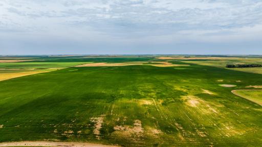 tbd 98 St NE Lot 2, Bottineau, ND 58318