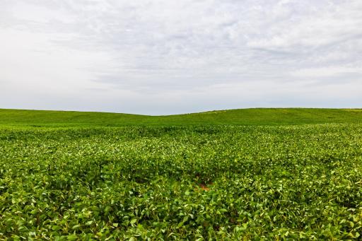 tbd 98 St NE Lot 2, Bottineau, ND 58318