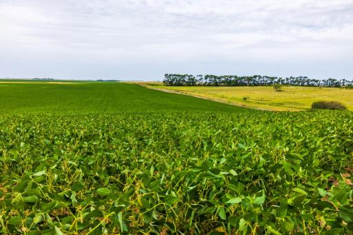 tbd 98 St NE Lot 2, Bottineau, ND 58318