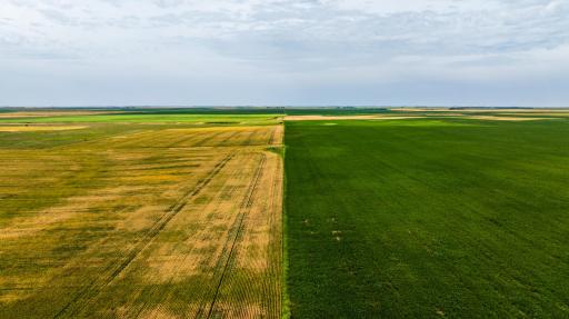 tbd 98 St NE Lot 2, Bottineau, ND 58318