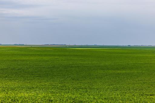 tbd 98 St NE Lot 2, Bottineau, ND 58318