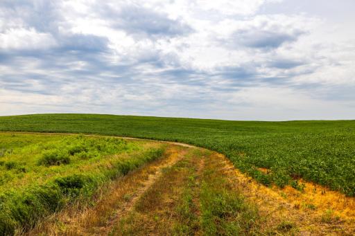 tbd 98 St NE Lot 2, Bottineau, ND 58318