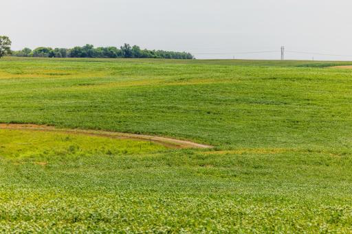 tbd 98 St NE Lot 2, Bottineau, ND 58318