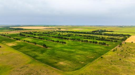 TBD 4 Ave NE Lot 1, Bottineau, ND 58318