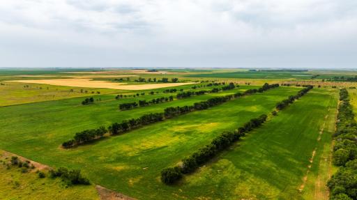 TBD 4 Ave NE Lot 1, Bottineau, ND 58318