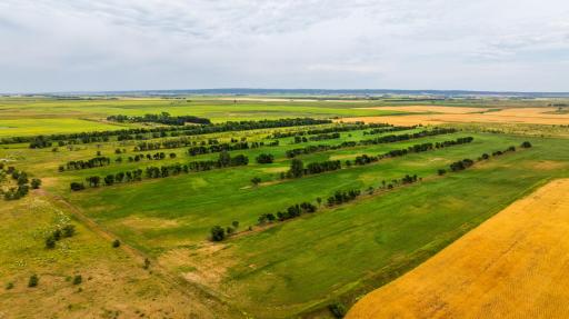 TBD 4 Ave NE Lot 1, Bottineau, ND 58318