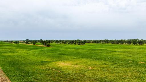TBD 4 Ave NE Lot 1, Bottineau, ND 58318