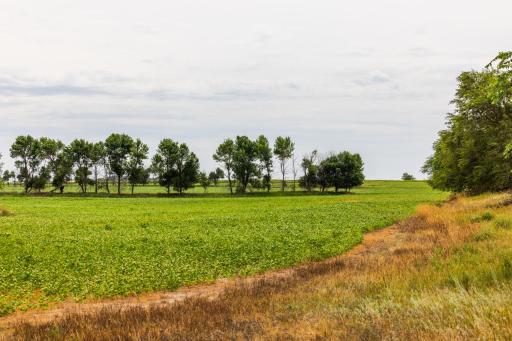 TBD 4 Ave NE Lot 1, Bottineau, ND 58318
