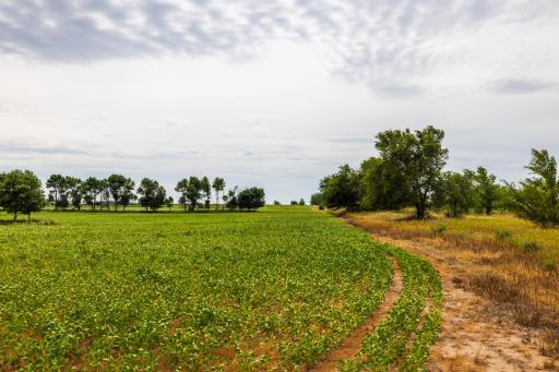 TBD 4 Ave NE Lot 1, Bottineau, ND 58318