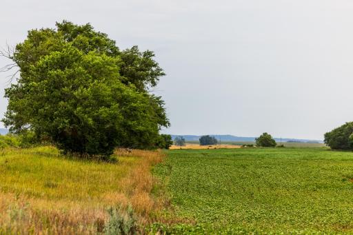 TBD 4 Ave NE Lot 1, Bottineau, ND 58318
