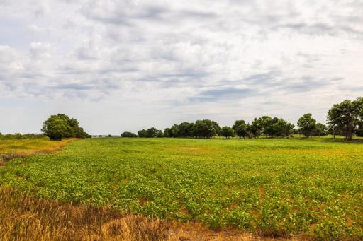 TBD 4 Ave NE Lot 1, Bottineau, ND 58318