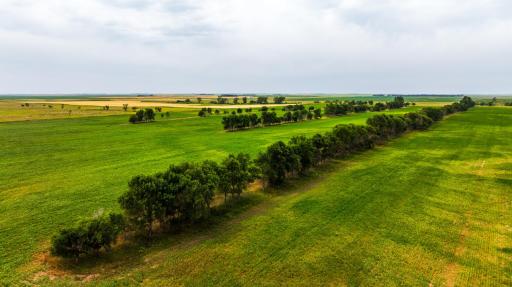 TBD 4 Ave NE Lot 1, Bottineau, ND 58318