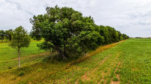 TBD 4 Ave NE Lot 1, Bottineau, ND 58318
