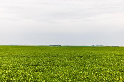 TBD 97 St NE Lot 3, Bottineau, ND 58318