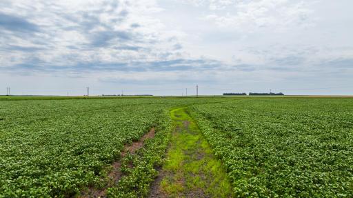 TBD 97 St NE Lot 3, Bottineau, ND 58318