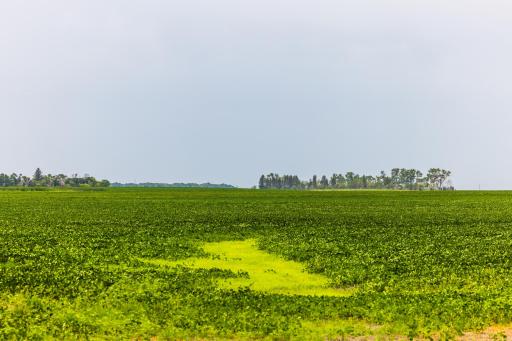 TBD 97 St NE Lot 3, Bottineau, ND 58318