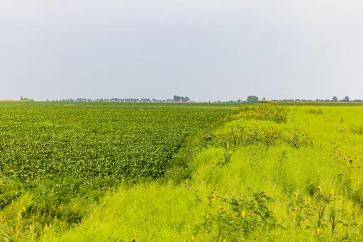 TBD 97 St NE Lot 3, Bottineau, ND 58318