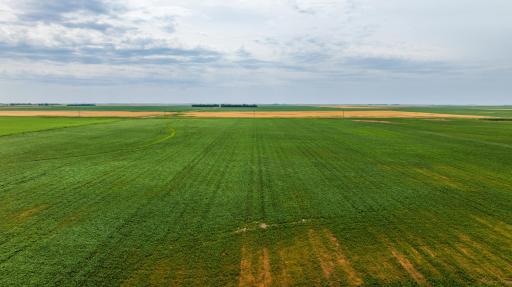 TBD 97 St NE Lot 3, Bottineau, ND 58318