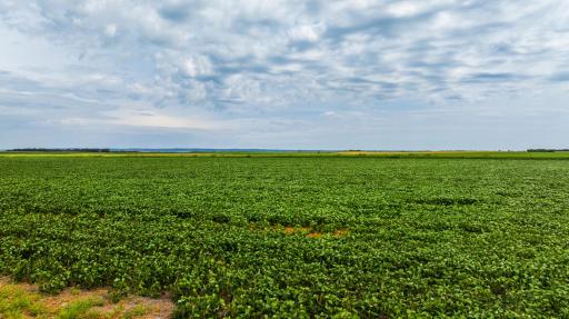TBD 97 St NE Lot 3, Bottineau, ND 58318
