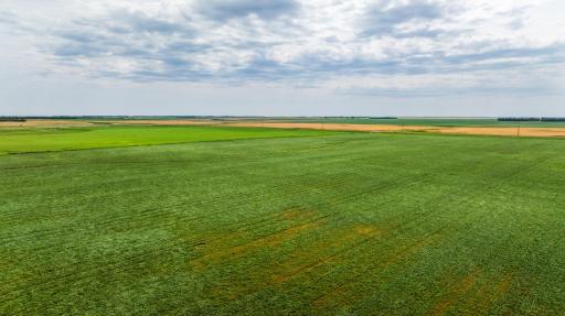 TBD 97 St NE Lot 3, Bottineau, ND 58318