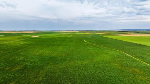 TBD 97 St NE Lot 3, Bottineau, ND 58318