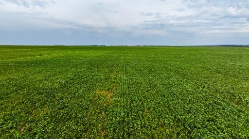 TBD 97 St NE Lot 3, Bottineau, ND 58318