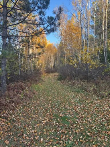 TBD40 Highway 135 N, Tower, MN 55790