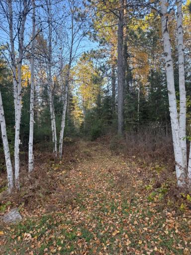 TBD40 Highway 135 N, Tower, MN 55790