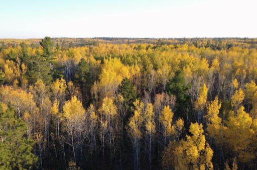 TBD40 Highway 135 N, Tower, MN 55790