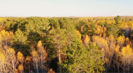 TBD40 Highway 135 N, Tower, MN 55790