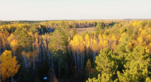 TBD40 Highway 135 N, Tower, MN 55790