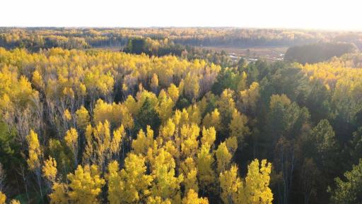 TBD40 Highway 135 N, Tower, MN 55790
