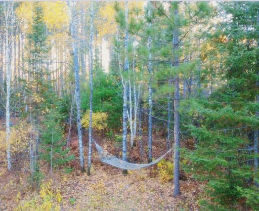 TBD40 Highway 135 N, Tower, MN 55790