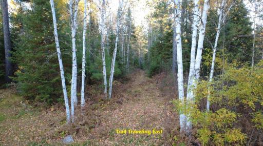 TBD40 Highway 135 N, Tower, MN 55790