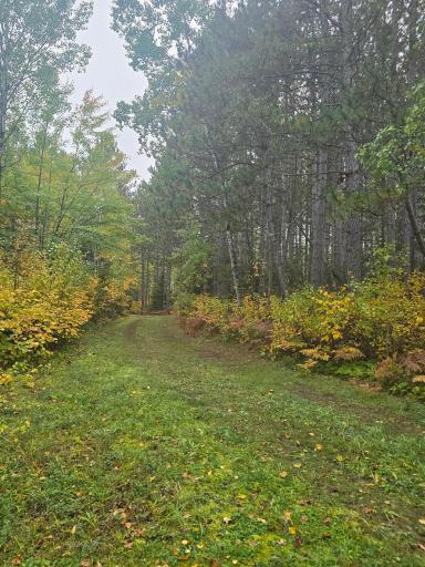 TBD40 Highway 135 N, Tower, MN 55790