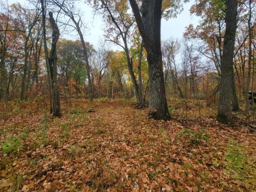 TBD Lost Lake Trail, Cushing, MN 56475
