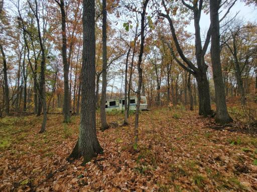 TBD Lost Lake Trail, Cushing, MN 56475