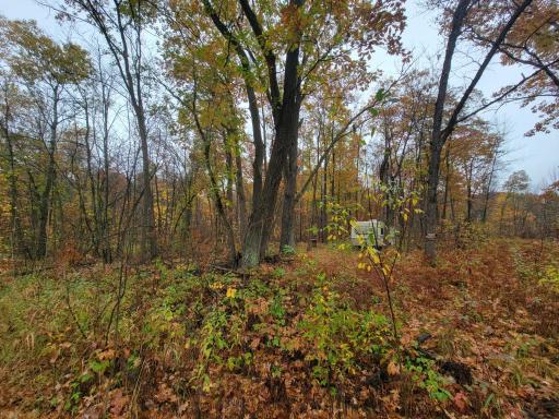 TBD Lost Lake Trail, Cushing, MN 56475