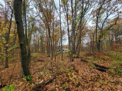 TBD Lost Lake Trail, Cushing, MN 56475