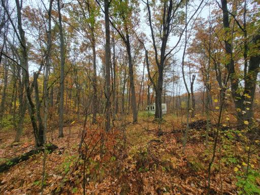 TBD Lost Lake Trail, Cushing, MN 56475