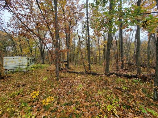 TBD Lost Lake Trail, Cushing, MN 56475