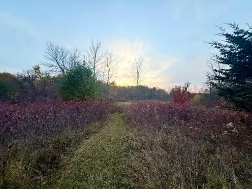 11832 County Road 51, Saint Joseph, MN 56374