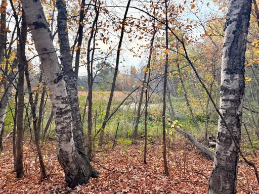 11832 County Road 51, Saint Joseph, MN 56374