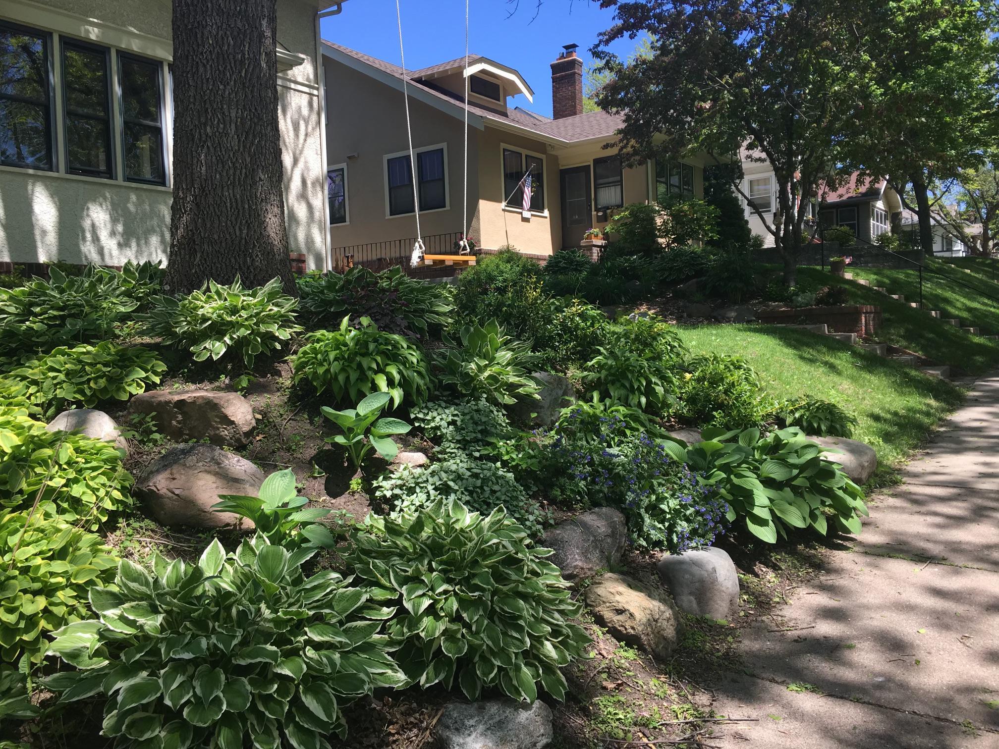 Front gardens.