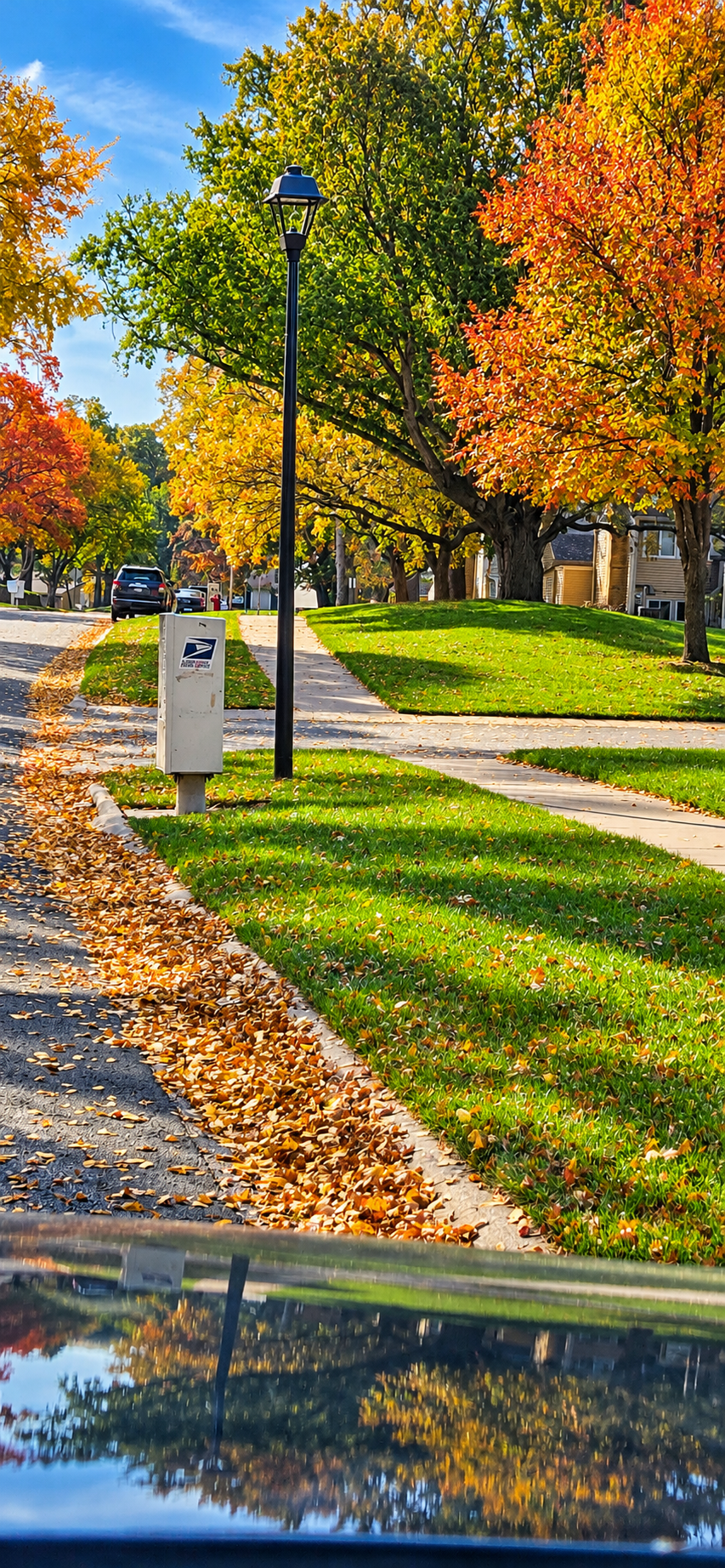 Walking Paths Throughout the Neighborhood