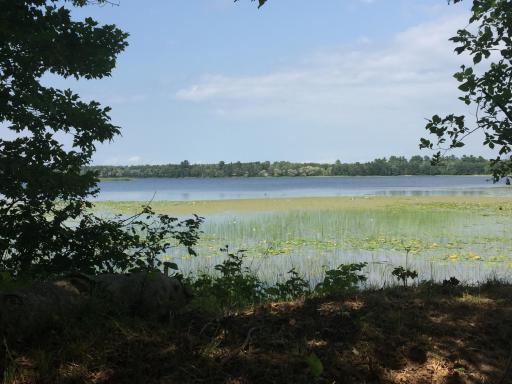Tract 1 Lower Larson Lake Road NW, Hackensack, MN 56452