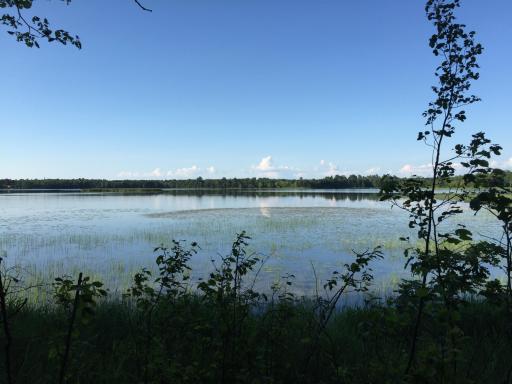 Tract 1 Lower Larson Lake Road NW, Hackensack, MN 56452