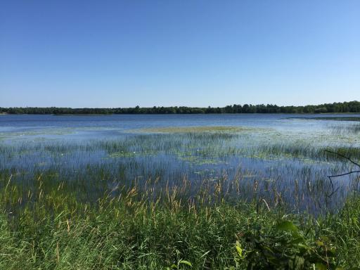 Tract 1 Lower Larson Lake Road NW, Hackensack, MN 56452