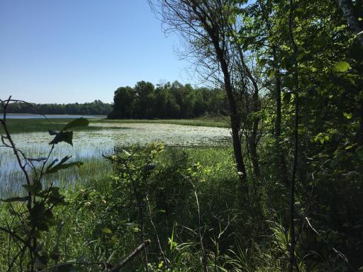 Tract 1 Lower Larson Lake Road NW, Hackensack, MN 56452